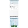 Erba Vita DAMIANA FOGLIE SOLUZIONE IDROALCOLICA 50 ML