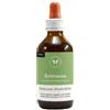 CENTO FIORI ECHINACEA SOLUZIONE IDROALCOLICA 100 ML