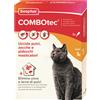 Beaphar COMBOTEC*3PIP GATTI/FURET
