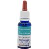 ZETACIESSE Srl CK6 RIMEDIO CHIAREZZA 20 ML FONS ANIMI