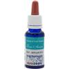 ZETACIESSE Srl CK7 RIMEDIO RINASCITA 20 ML FONS ANIMI