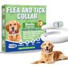 Inpumo Collare Antiparassitario per Cani, Collare Regolabile Resistente all'Acqua, Protezione Efficace contro Parassiti per Tutti i Tipi di Cani, Durata 12 Mesi (1 Pack)