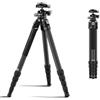 SIRUI 127cm Treppiede da Viaggio in Fibra di Carbonio con Testa, AM-225S+G0 | Treppiede Compatto con 360° Testa a Sfera a Basso Profilo, Carico Massimo 6kg, per DSLR, Fotocamera Mirrorless, Vlogging
