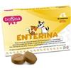 Steve Jones Buonapet Enterina Integratore Veterinario Per Diarrea E Problemi Intestinali Del Cane 10 Compresse