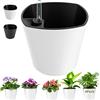 GS Garden Vasi rotondi autoirriganti da 17,8 cm, per piante da interno, con indicatore del livello dell'acqua, colore bianco, confezione da 6 fioriere autoirriganti per tutte le orchidee e piante in plastica