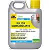 FILA Surface Care Solutions Easydek Pulizia Disincrostante Detergente, 1 Litro