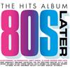 SONY UK The Hits Album: Later 80'S