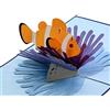CUT POPUP.COM CUTPOPUP Nemo Clownfish Pop Up Card, Birthday Card For Grandson, Nephew,Son, Kids- Surprise Gift On Birthday, Or Any Occasion
