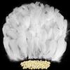 TOPCZY 300 piume decorative bianche, per bricolage, grandi piume per matrimoni, feste, acchiappasogni e lavori di bricolage (bianco)