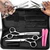 Retoo Set Forbici Silver da taglio per capelli in acciaio inossidabile da 6 pollici affilate con pettine, fermagli da barbiere, custodia in pelle, 2 pezzi - Forbici per sfoltire e forbici per sfoltire