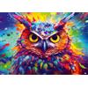 Ulmer Puzzleschmiede - Puzzle da 1000 pezzi di gufi - Ritratto artistico colorato del gufo come esplosione di colore su sfondo astratto - puzzle di uccelli vivaci, qualità Made in Germany