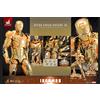 Hot Toys Iron Man Mark 3 Golden & Copper Gold Ver. 1/6 Action Figure Hot Toys MMS48D78