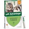 Elanco Advantage Soluzione Spot On per Gatti e Conigli Piccoli, 40 mg, 4 Pipette