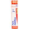 Apis mellif 7ch gr - BOIRON - 800020861