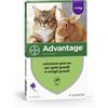 Advantage 4 pip.0,8ml spot-on - ADVANTAGE - 104373030