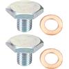 A ABSOPRO Tappo Coppa Olio Motore M10x1.25 Con Rondella 2 Set Per Ford | Acciaio Inox, Argento, M10x1.25, 17x24mm, 1146063, Con Rondella, Per Fiat Scudo 99-20, Per Peugeot 2008 13-20