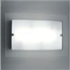 Illuminando FLAT PLAFONIERA IN VETRO RETTANGOLARE MEDIA