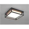 TRIO LIGHTING WITHAM PLAFONIERA MODERNA 30X30 LED 14W LUCE 2300,3000,4000K DA ESTERNO IP54 ANTRACITE