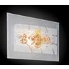 Familamp MIAMI APPLIQUE MODERNA 30x20 IN VETRO IN FOGLIA ORO O ARGENTO CON 7 DECORI MADE IN ITALY