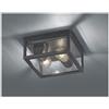 TRIO LIGHTING GARONNE PLAFONIERA DA ESTERNO IP44 A LANTERNA LUCE DIFFUSA ANTRACITE