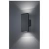 TRIO LIGHTING COLORADO APPLIQUE IP54 PER AMBIENTI ESTERNI ANTRACITE BIEMISSIONE DI LUCE LED 3W LUCE 3000K