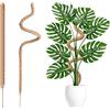 Zhushishunyi 2 Pz Palo di Muschio per Monstera, 60 cm Sostegno per Piante Rampicanti Flessibili, Pali di Muschio per Pianta di Monstera, Supporto per piante rampicanti da interno