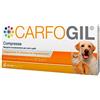 Carfogil 30 Compresse