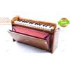 Fatto a mano Nuovo strumento musicale indiano BINA Dulcetina 2,5 ottave portatile Harmonium
