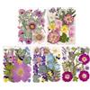 Gugxiom Fiori Pressati Secchi per Resina, 5 Sacchetti da 100 Fiori Pressati, 5 Temi Colorati Fiori Secchi per Nail Art, Resina, Design di Gioielli Fai da Te, Custodie per (Tipo 2)