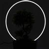 Garden Stories Bonsai illuminato con anello Led