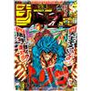 Weekly Shonen Jump 26 2012 - Japanese Magazine - Toriko Cover