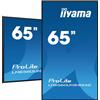 iiyama LH6560UHS-B2AG visualizzatore di messaggi Pannello A digitale 163,8 cm (64.5") LED Wi-Fi 500 cd/m² 4K Ultra HD Nero - LH6560UHS-B2AG