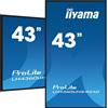 iiyama LH4360UHS-B2AG visualizzatore di messaggi Pannello A digitale 108 cm (42.5") LED Wi-Fi 500 cd/m² 4K Ultra HD Nero - LH4360UHS-B2AG