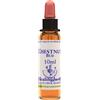 NATUR Srl CHESTNUT BUD ESS 10ML INGL HER