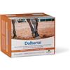 NBF Lanes | Dolhorse - Supporto per la Salute Articolare con Glucosamina, Condroitina e Curcuma