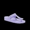 SCHOLL SHOES BAHIA FLIP-FLOP SYNEVA W PASTEL LILAC 38