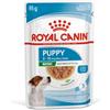 ROYAL CANIN Royal Royal Canine Puppy Mini Box Box 12x85GR 1000 G