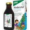 SALUS HAUS Gmbh & Co KG KINDERVITAL FLORADIX 250ML
