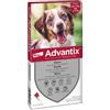 ELANCO Advantix Spot-On 10-25 Kg 4 Pipette
