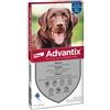 ELANCO Advantix Spot-On 25-40 Kg 6 Pipette