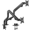 Ewent Supporto con Braccio Doppio per Monitor per Schermi LCD LED da 17-32,Braccio con Meccanismo a Molla, 2 Metodi di Montaggio con morsetto o occhiello,VESA 75-100 mm, Peso Suppurtato 2-8kg