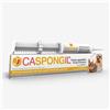 Caspongil Pasta 30 G