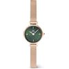 Daniel Wellington Petite Orologi 19 Stainless Steel With Pvd Plated Rose Gold Rose Gold