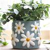 GUGUGO Grazioso vaso da fiori a margherita, vasi decorativi con fori di drenaggio, divertenti e unici per piante da interno, vaso colorato per piante grasse da giardinaggio per la casa bohémien