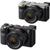 SONY Garanzia Italia SONY Alpha 7 C (A7 C) Silver Solo Corpo