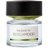 Bmw The Scent of Bergamood