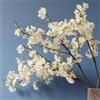 OUKEYI Rami di ciliegio artificiali da 106 cm, fiori di ciliegio artificiali, in seta, steli alti per casa, matrimonio, tavolo, vaso, decorazione (4 pezzi, bianco)