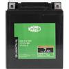 Quantum Energy Magneti Marelli batteria moto scooter 7AH 12V 75A AGM sigillata terminale positivo DX