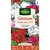 Vilmorin - Semi Geranio Cricket Multi