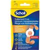 Dr. Scholl's SCHOLL, Cerotti per calli e duroni, 2 pacchi da 8 pz.